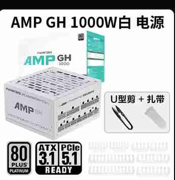 追风者 AMP GH1000 1000W 白金牌全模组 ATX3.1 蟒纹线 白色