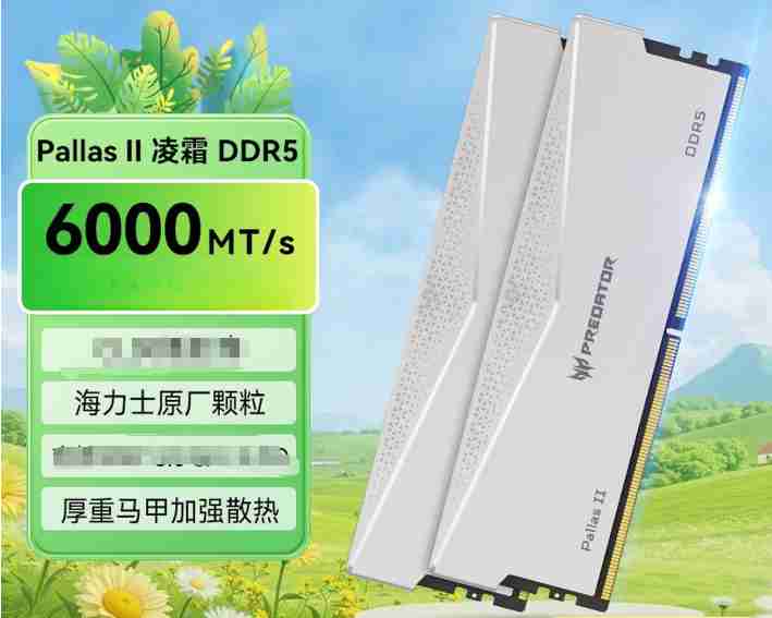 宏碁掠夺者 Pallasll 48G 6000 D5 24x2 C28 凌霜马甲 银