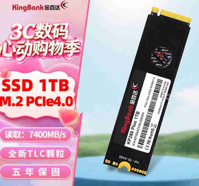 金百达 KP260 PLUS 1T PCIE4.0 读7400 TLC