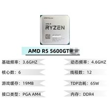 AMD R5-5500GT 散