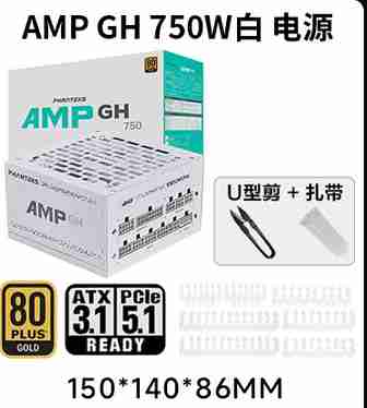 追风者 AMP GH750 750W 金牌全模组 ATX3.1 蟒纹线 白色