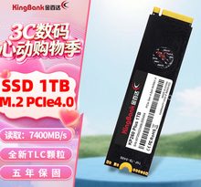 金百达 KP260 PLUS 1T PCIE4.0 读7400 TLC