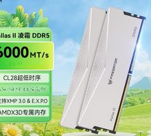 宏碁掠夺者 Pallasll 24G 6000 D5 C28 凌霜马甲 银